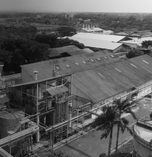 Sasa 1972