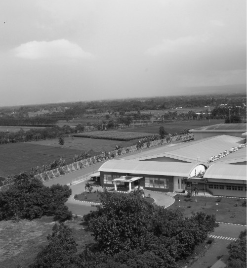 Sasa 1973
